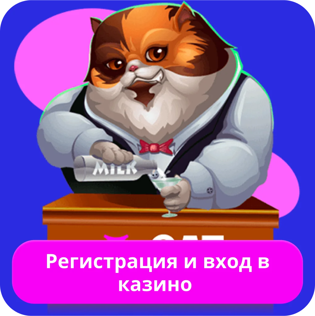 Кэт казино регистрация